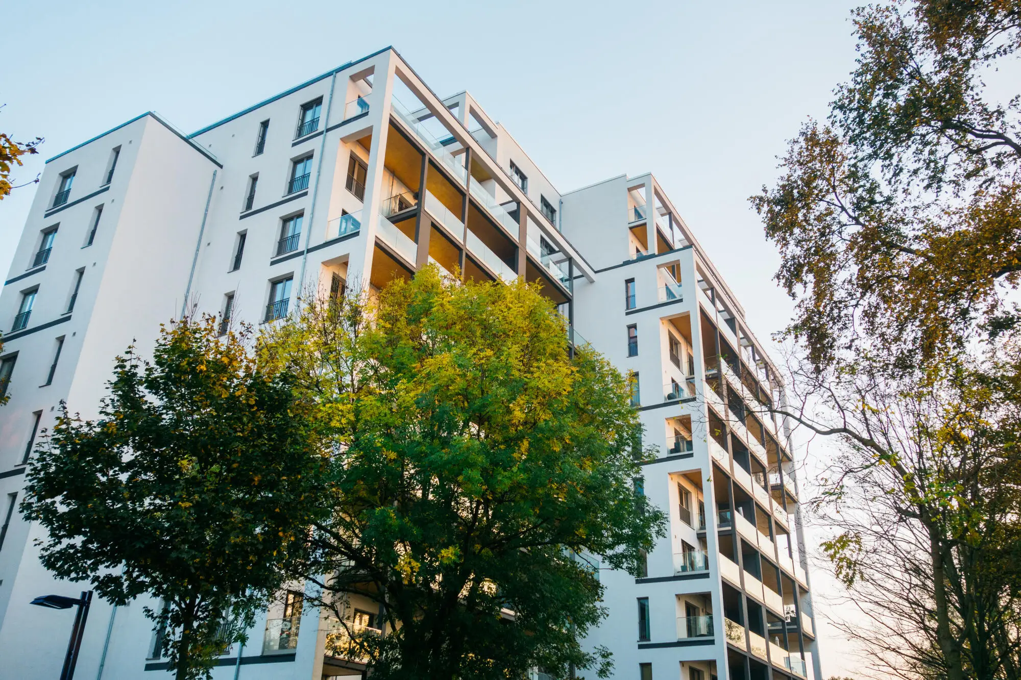Unlock Success in Lakewood with Real Estate Asset Management Secrets
